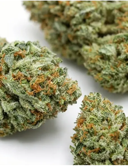 %product-name% closeup en