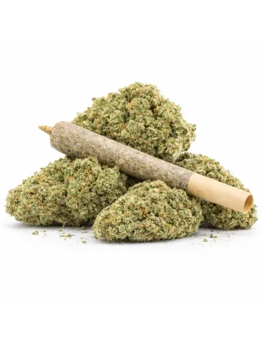 %product-name% Hauptansicht