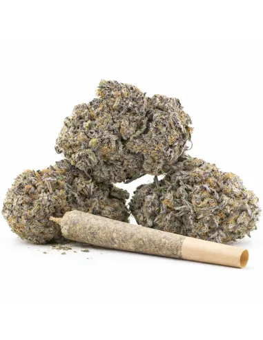 %product-name% principal