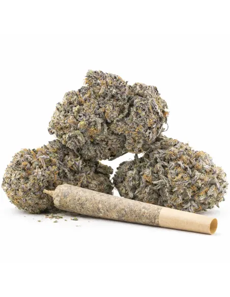 %product-name% Hauptansicht