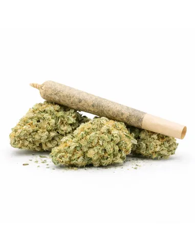 %product-name% principal