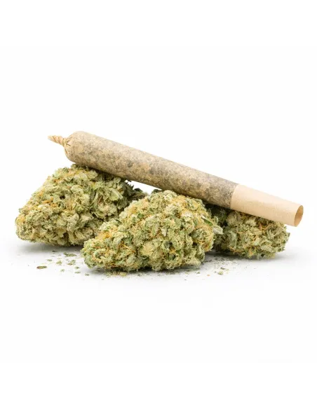 %product-name% Hauptansicht