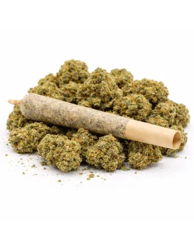 %product-name% Hauptansicht