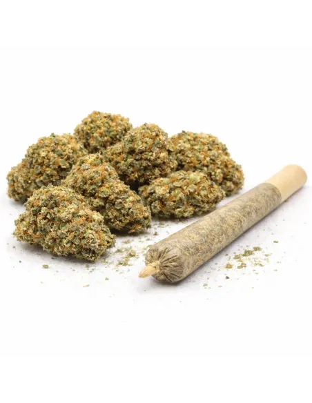 %product-name% Hauptansicht 2