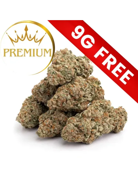 Gift : Mystery Premium 9G 10-OH-HHC | GBZ420