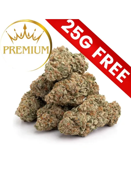 Cadeau: Mystère Premium 25G 10-OH-HHC | GBZ420