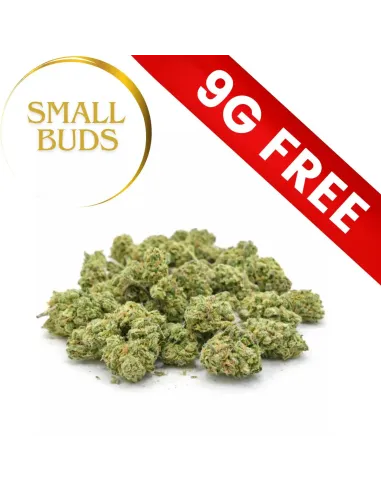 Cadeau: Mystère Small Buds 9G 10-OH-HHC | GBZ420