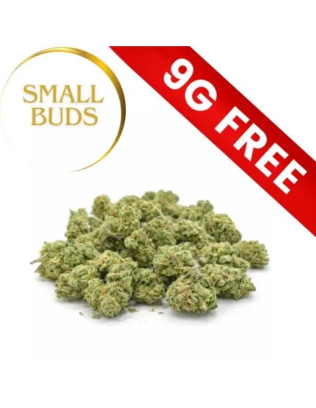 Cadeau: Mystère Small Buds 9G 10-OH-HHC | GBZ420