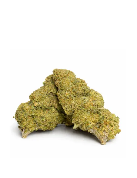 Apple Fritter 10-OH-HHC Flower | High Performance