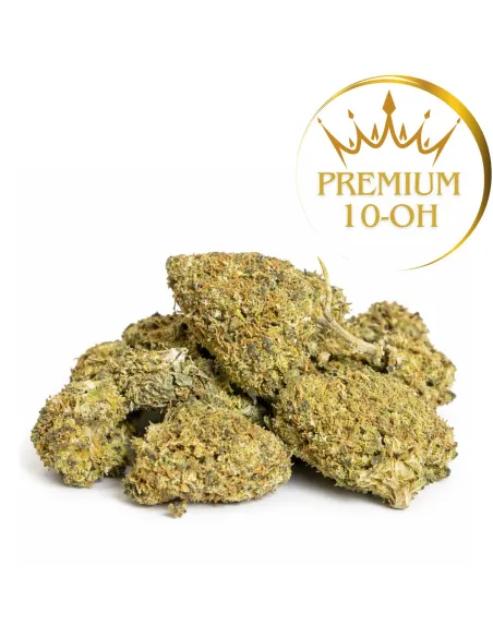 Girl Scout Cookie 10-OH-HHC Flower | High Performance