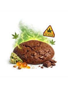 %product-name% main FR