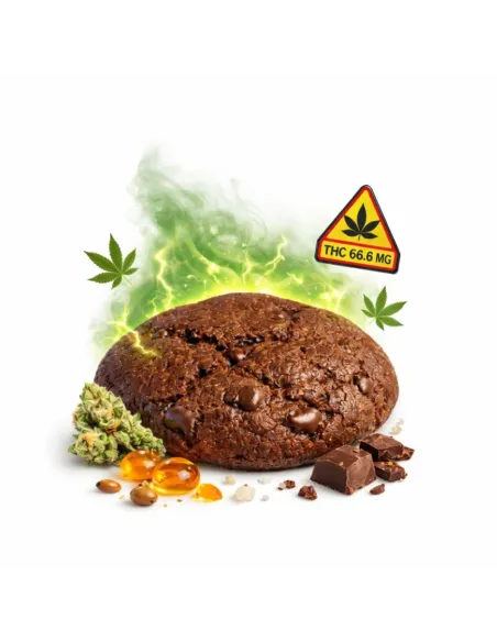 %product-name% main FR