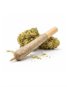 THCX Pre-Roll Apple Fritter | Premium Intensität