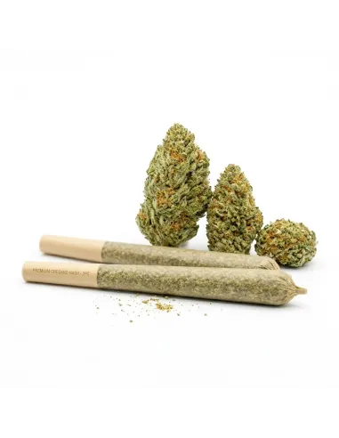 Pré-Roll THCX Blueberry | Intensité premium