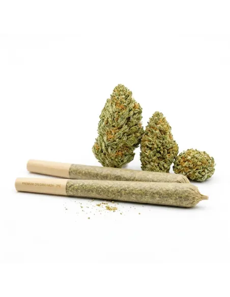 THCX Pre-Roll Blueberry | Premium Intensität