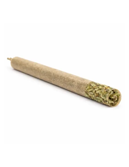 Pré-Roll THCX Skywalker OG | Puissance premium