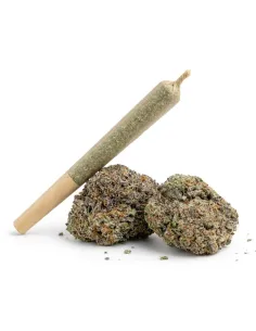 THCX Pre-Roll Skywalker OG | Premium Stärke