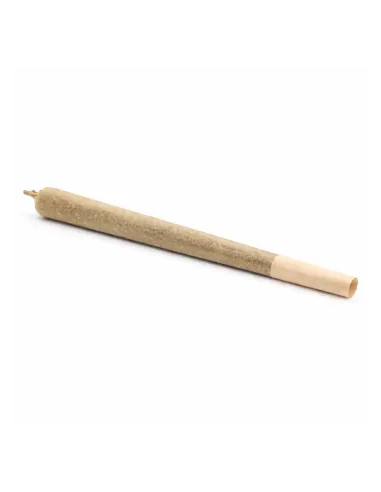 THCX Pre-Roll Sorbetto | Premium Intensität