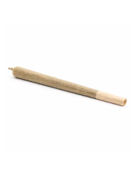 Pré-Roll THCX Sorbetto | Intensité premium