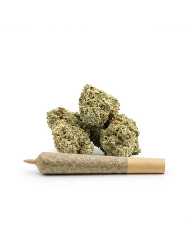 THCX Pre-Roll Lemonade | Premium Intensität