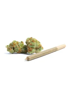 THCX Pre-Roll Sugar Candy | Süße Intensität