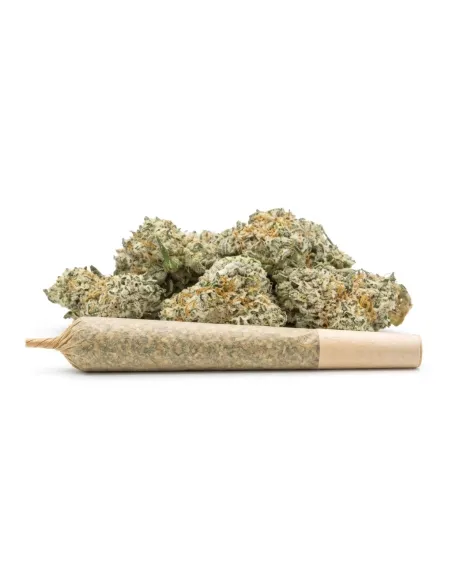 Pré-Roll THCX Sugar Cream | Intensité gourmande