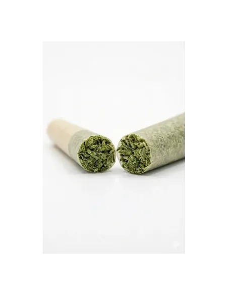 THCX Pre-Roll Sugar Cream | Cremige Intensität