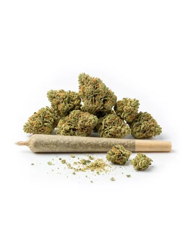 THCX Pre-Roll Silver Haze Small Buds | Premium