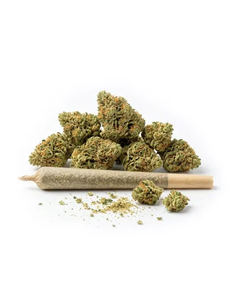 THCX Pre-Roll Silver Haze Small Buds | Premium