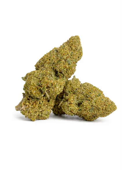 THCX Flower Apple Fritter main