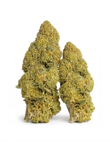 THCX Flower Apple Fritter top