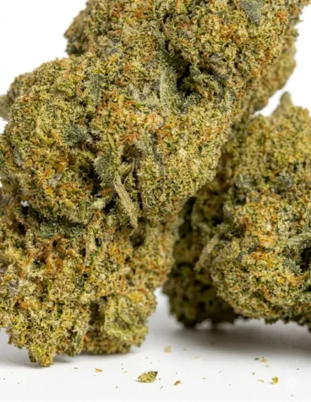 THCX Flower Apple Fritter closeup