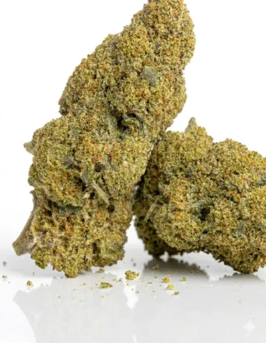 THCX Blüte Apple Fritter | Starke Wirkung