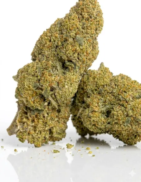 THCX Fleur Apple Fritter | Effets puissants