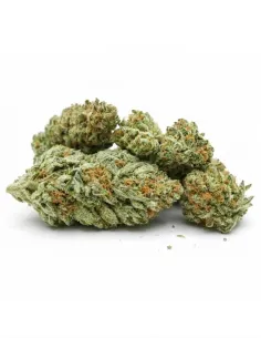 THCX Blüte Blueberry | Intensiver Premiumgenuss