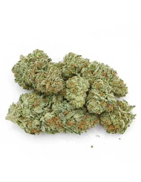 THCX Fleur Blueberry | Saveur intense premium