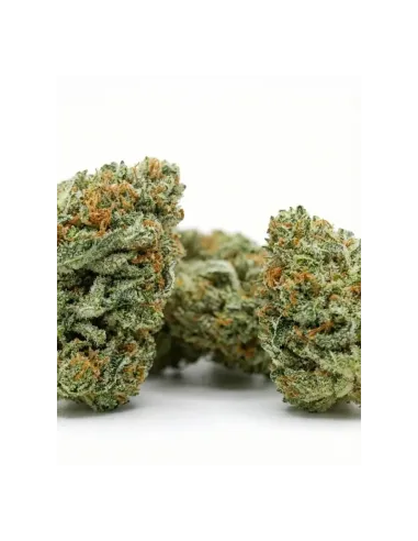 THCX Blüte Blueberry | Intensiver Premiumgenuss