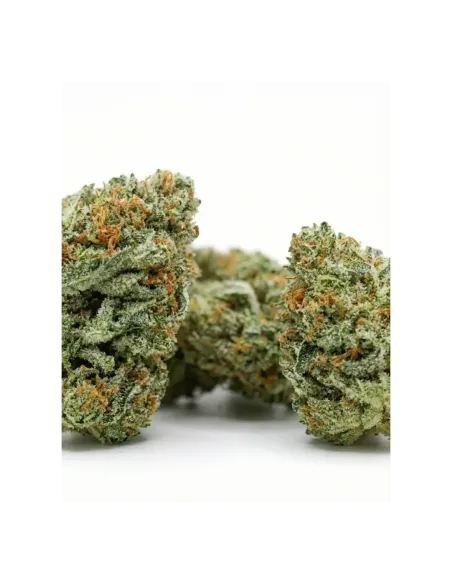 THCX Fleur Blueberry | Saveur intense premium