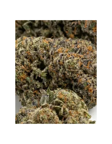 THCX Flower Skywalker OG closeup