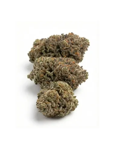 THCX Flower Skywalker OG top