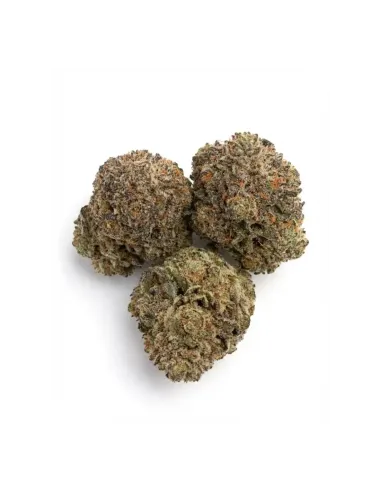 Fleurs THCX Skywalker OG | Effets intenses