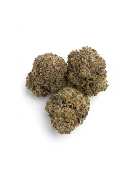 Fleurs THCX Skywalker OG | Effets intenses