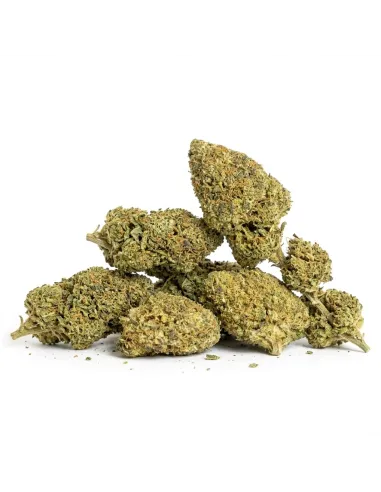 THCX Flower Girl Scout Cookie main