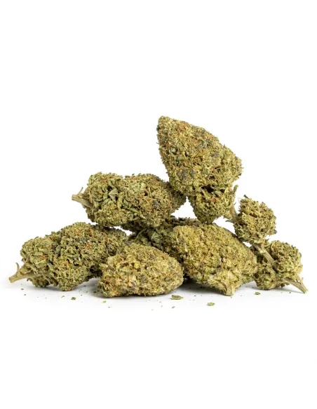 THCX Flower Girl Scout Cookie main