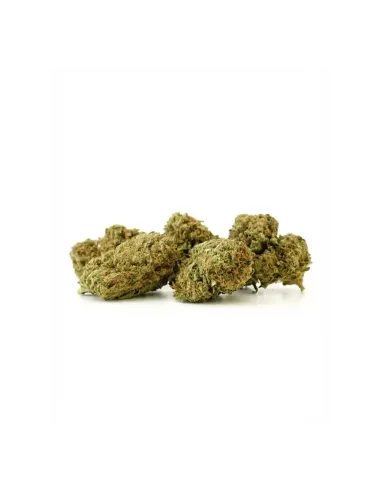 THCX Fleur Sorbetto | Saveur premium intense