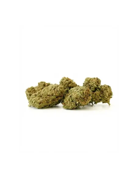 THCX Flower Sorbetto side