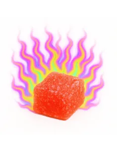 %product-name%Hauptansicht