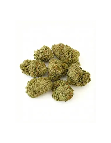 THCX Blüte Sorbetto | Intensiver Premiumgenuss