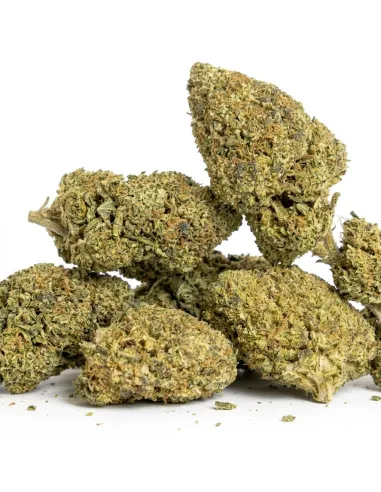 THCX Flower Girl Scout Cookie closeup