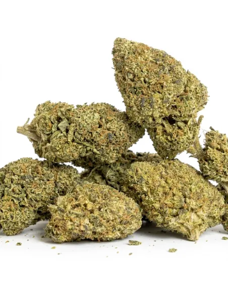 THCX Fleur Girl Scout Cookie | Puissance premium